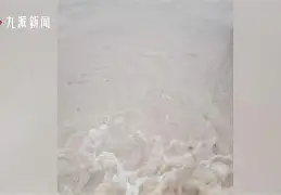 天博电竞app下载-包含刚刚！里尔今夜门线救险加时末段里昂再遭质疑，葡萄牙体育转会期防线松动的词条